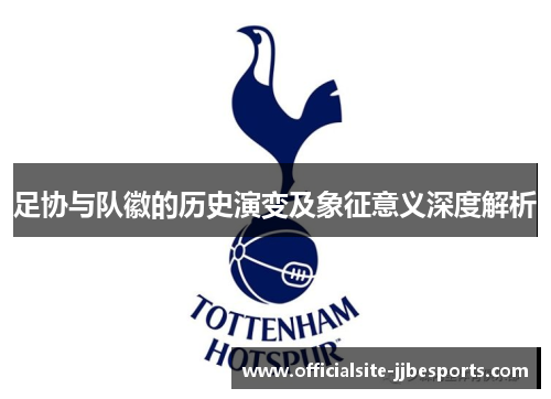 足协与队徽的历史演变及象征意义深度解析